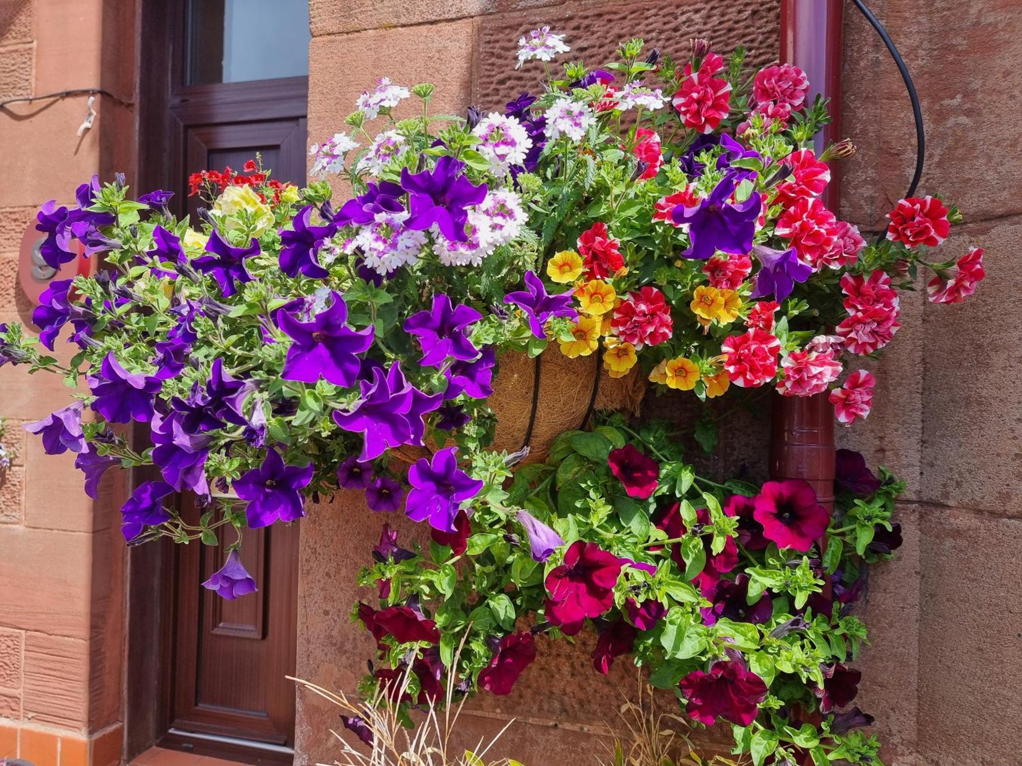 St Leonards Guest House Ларгс Екстериор снимка